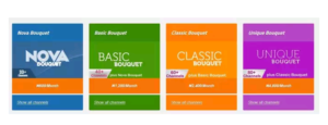 Startimes bouquet