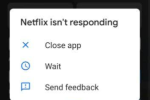 Netflix issues 