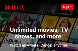 Netflix streaming service 
