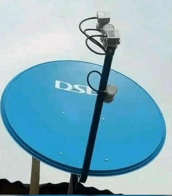 Twin output LNB on a DStv dish with two cables feeding separate decoders