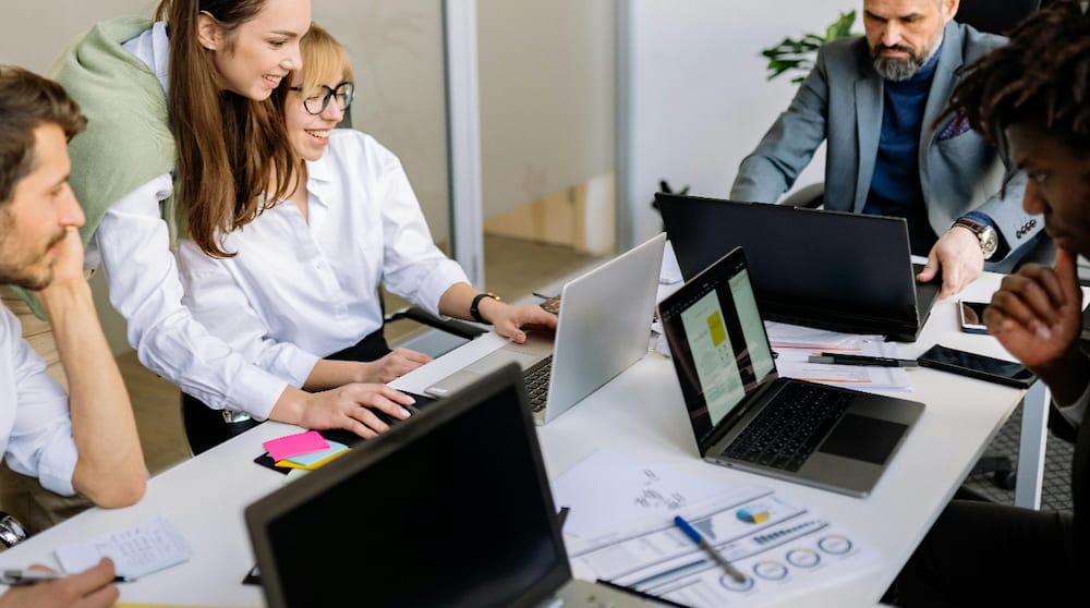 Professional small business team collaborating and working on laptops in a modern office
