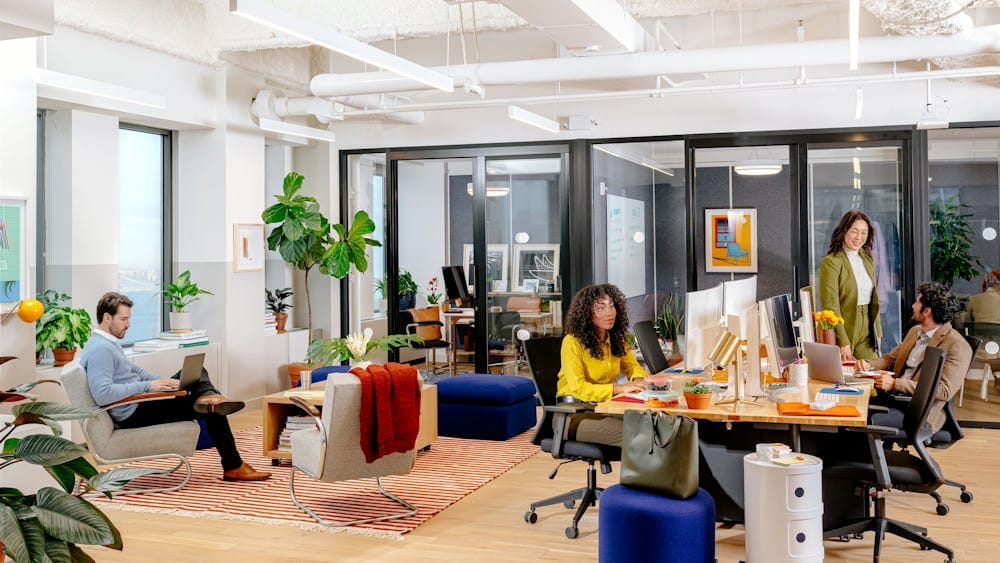Modern professional office in Houston with team members working productively on laptops in a bright collaborative workspace