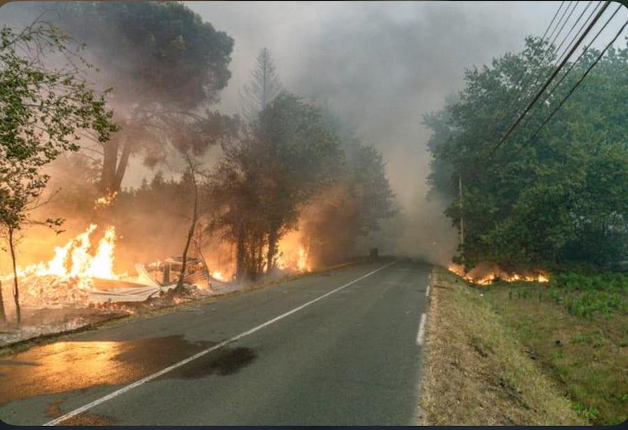 Firefighters spraying water on a burning pine forest during the Gironde wildfire near Bordeaux